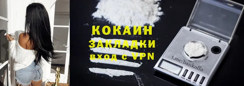 Cocaine FishScale  купить наркотики сайты  Красный Сулин 